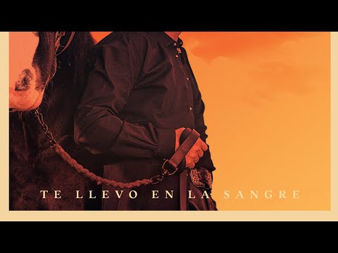 Alejandro Fernandez Te Llevo En La Sangre fot youtube